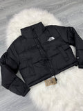 Tnf 700 cod 19