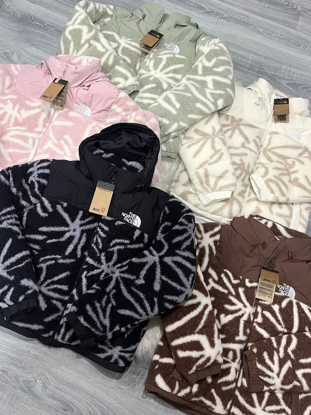 Teddy tnf diseño cod 15