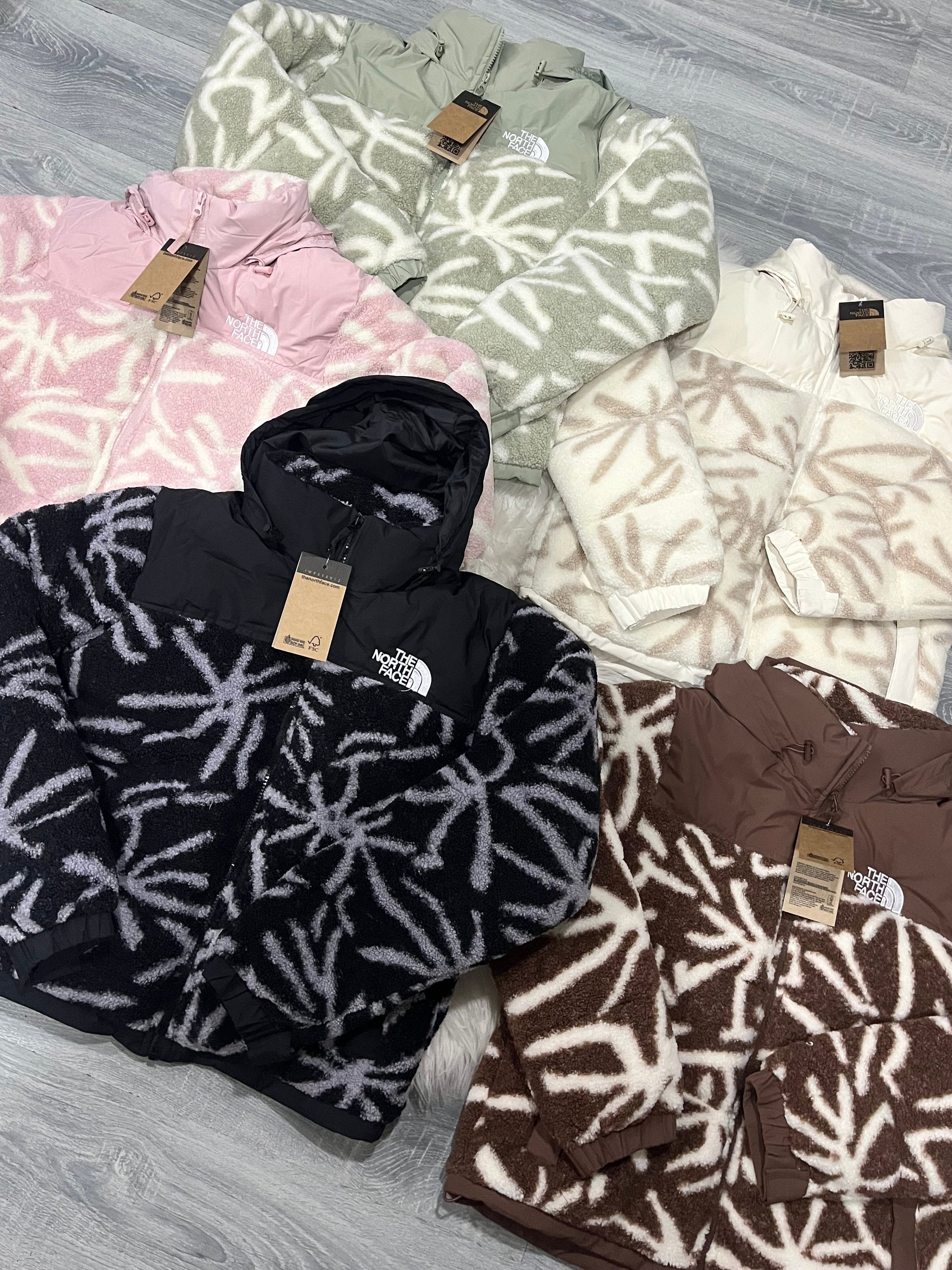 Teddy tnf diseño cod 15